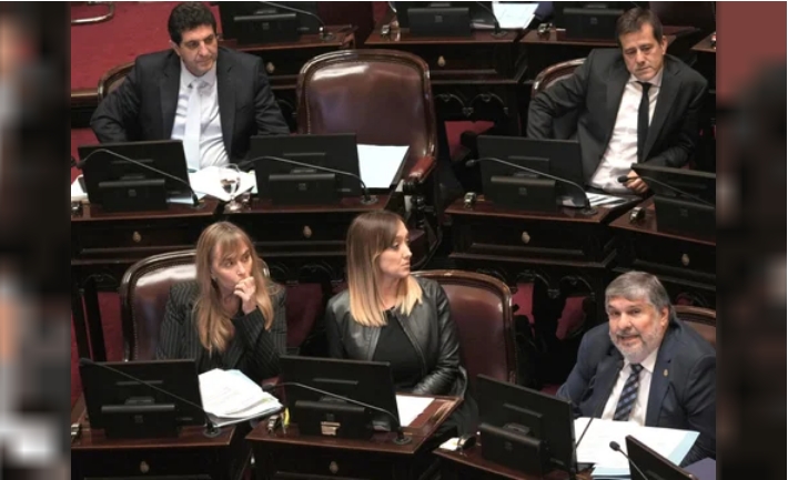 Parte de la bancada kirchnerista del Senado. NA: DANIEL VIDES