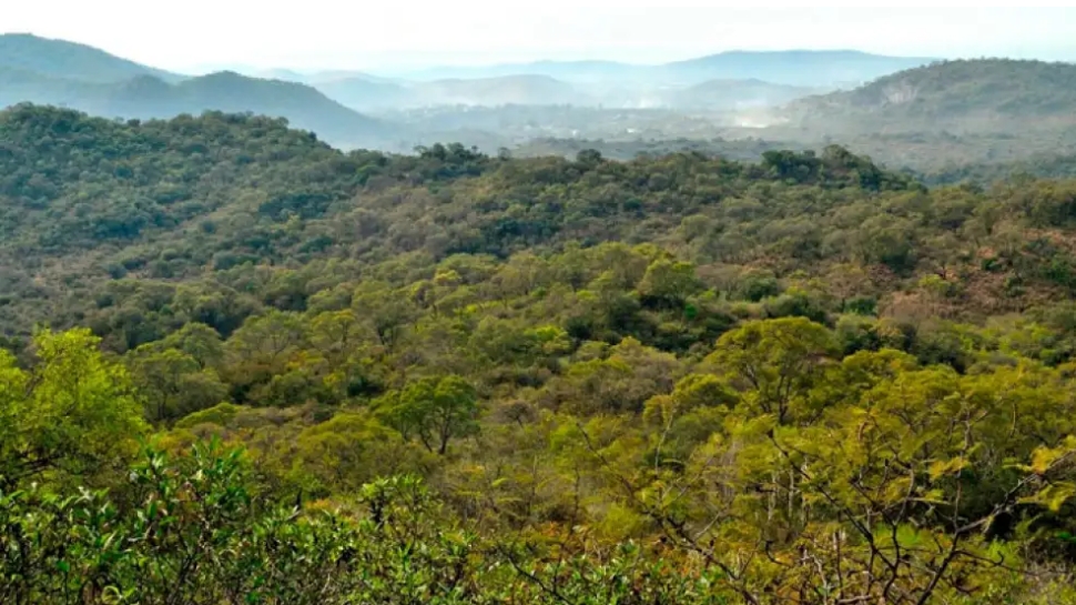 La reserva natural está ubica entre los vértices de Córdoba, Malagueño y La Calera. | Maxi Ceballos.
