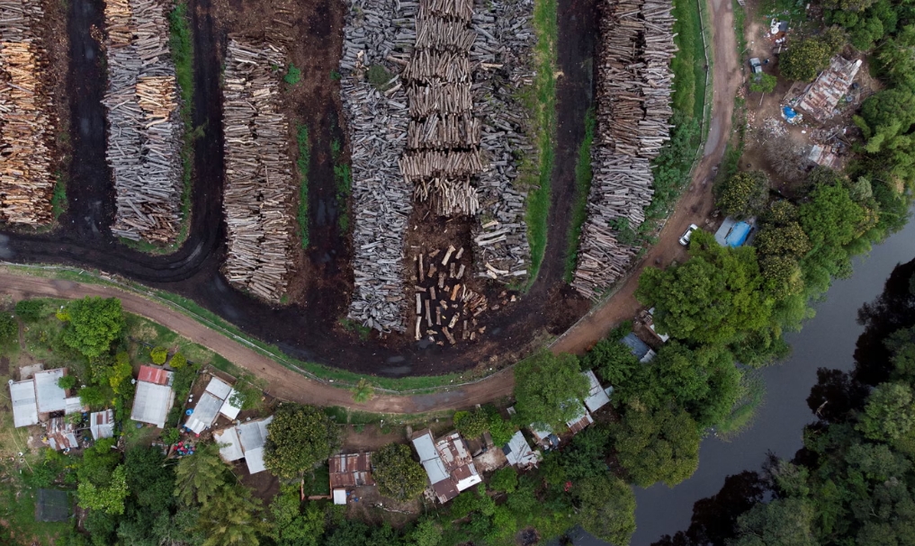 Una fábrica de procesamiento de madera en la provincia del Chaco, Argentina. La rápida destrucción del Gran Chaco se ha descrito como una "emergencia forestal". Fotografía: Luis Robayo/AFP/Getty Images