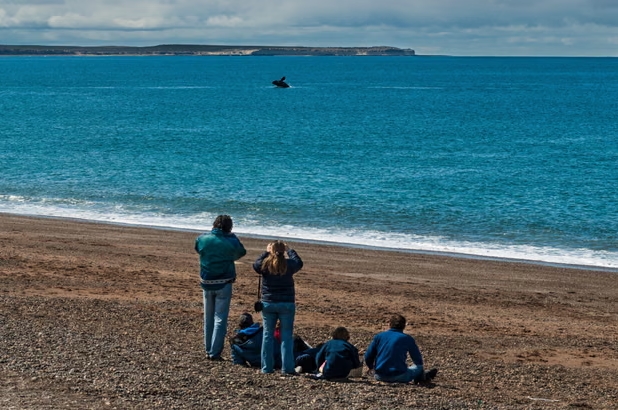 Turistas observan el salto de una ballena franca austral frente a la península Valdés, en la Patagonia. Fotografía: Gabriel Rojo/Alamy
