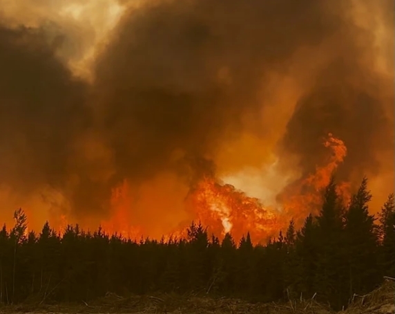 Las llamas devoran árboles en Saskatchewan. Los incendios más graves se han concentrado en Saskatchewan y Manitoba. Fotografía: Agencia de Seguridad Pública de Saskatchewan/AFP/Getty Images