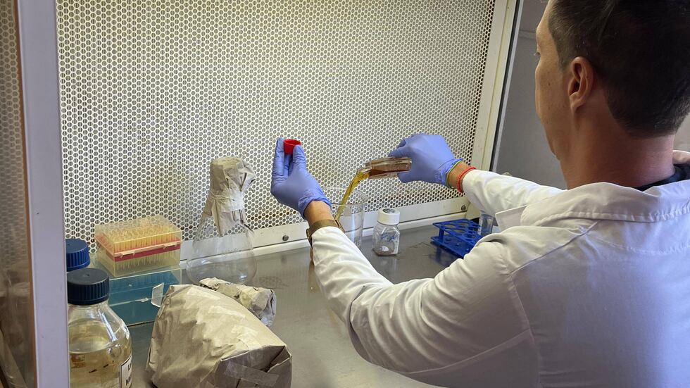 Un equipo del instituto lograron descifrar que parásitos se comunican entre sí. (Instituto Ferreyra)