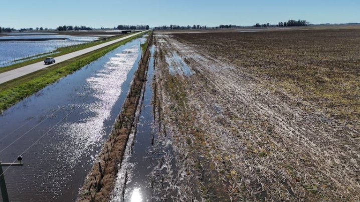 Un campo inundado a pocos kilómetros de 9 de Julio, por la Ruta 5 Hernan Zenteno - La Nacion