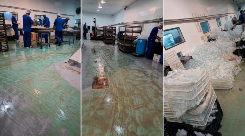 Empleados de los laboratorios de Ariel García relataron las condiciones en las que operaba la planta de producción de medicamento y aportaon fotos