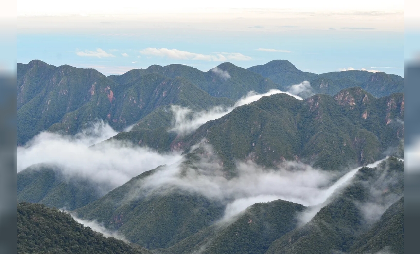 Parque Nacional Calilegua (Argentina) Agencia Noticias Argentinas