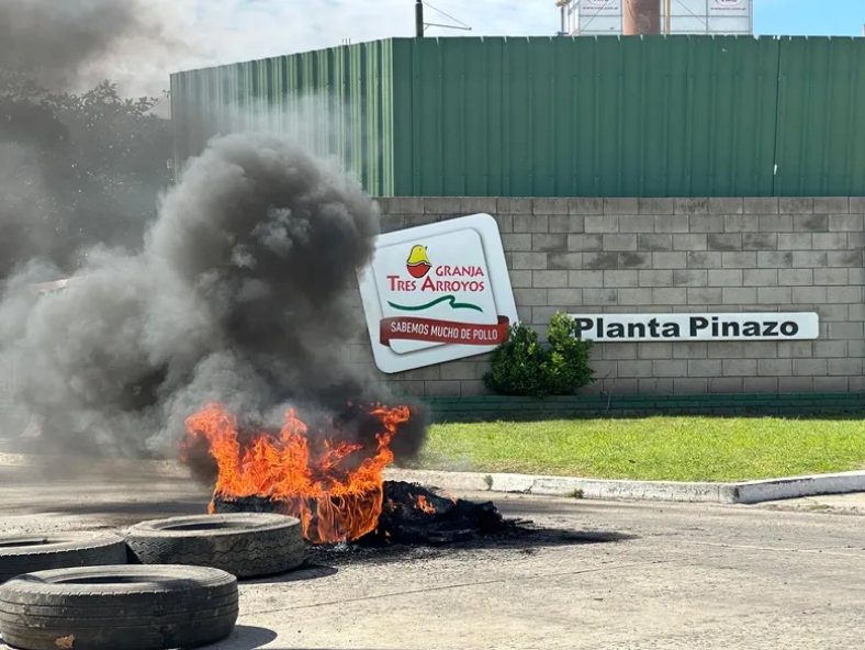 Foto: Pilar a Diario