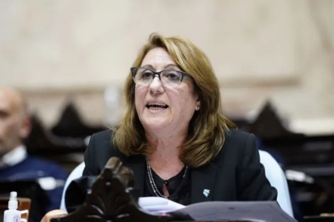 Mónica Fein, diputada del Partido Socialista, presidirá la comisión.