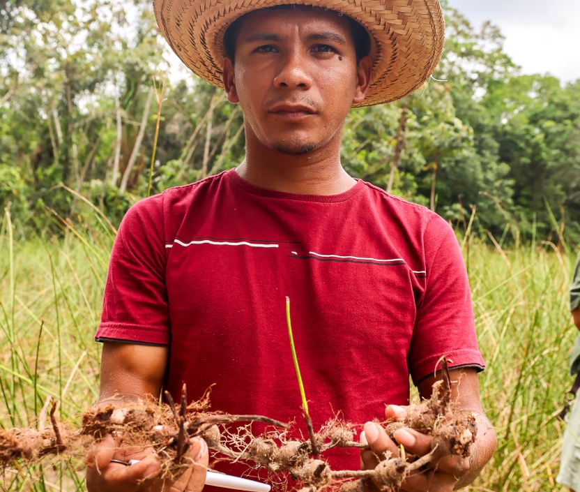 "Antes, cuando se sacaban los árboles, se iba degradando y solo plantábamos caña de azúcar”, explicó Vanildo, presidente de la organización Cofruta. (Foto: Gentileza Natura)