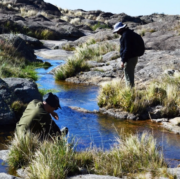 La Apdh solicita un estudio sobre exmina de Los Gigantes. Crédito: Apdh