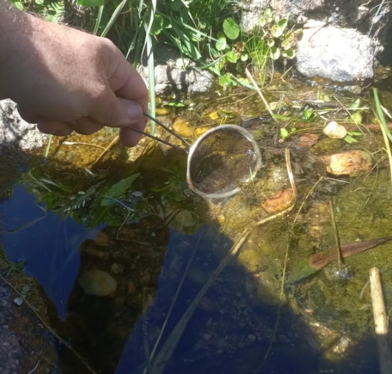 La Apdh solicita un estudio sobre exmina de Los Gigantes. Crédito: Apdh