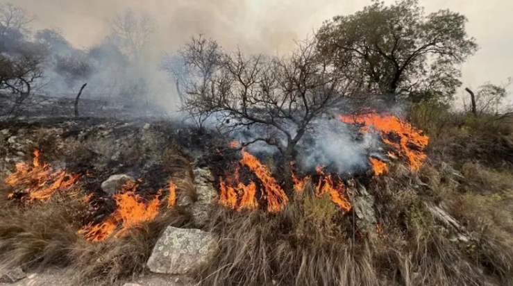 Las proyecciones para el bimestre enero-febrero indican que el peligro se mantendrá “superior a la normal” en el centro y norte de la Patagonia, La Pampa y el oeste de Buenos Aires.