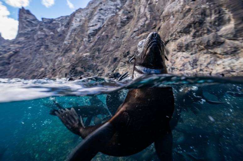 Juan Fernández y Desventuradas, foto Max Bello