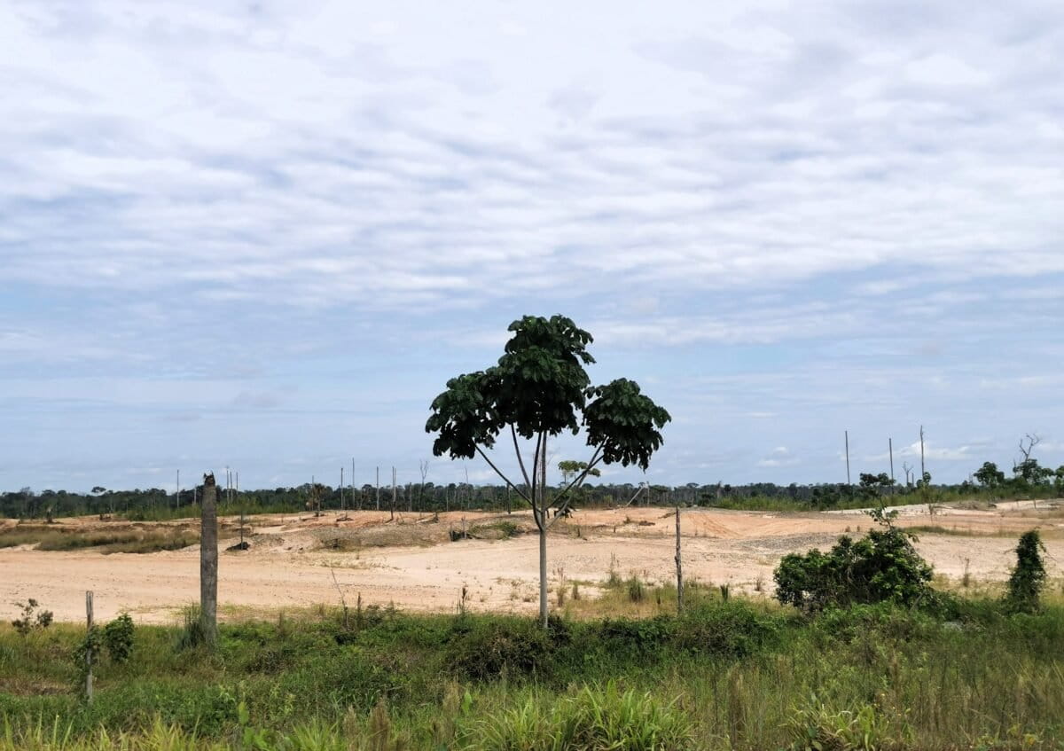 La minería ilegal e informal ha transformado los bosques de Madre de Dios. Donde antes había selva nativa, ahora quedan pozos de agua con mercurio. Foto: Elizabeth Salazar
