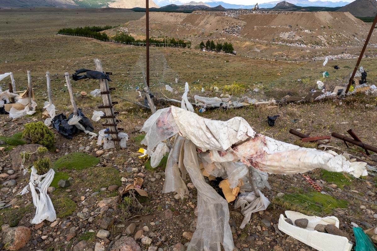 Foto de portada: Diciembre del 2025 – Roxana Sposaro