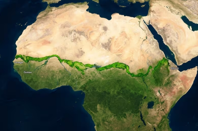 La Gran Muralla Verde pretende extenderse desde Yibuti hasta Senegal (Fuente: Imagen creada con Gemini IA)