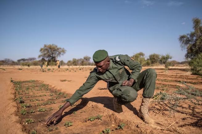 Un sargento senegalés protege y asegura que los trabajos se realicen en las hectáreas implicadas de su propio país (Fuente: Tommy Trenchard para NPR)