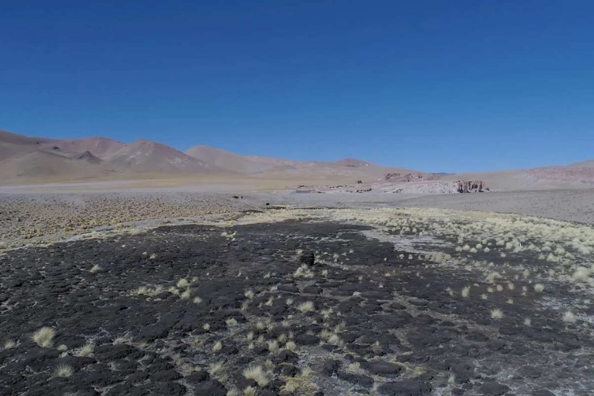 Salar del Hombre Muerto (Catamarca). La vega del río Trapiche seca tras una obra de la empresa Livent - Foto: María Paula Gaido