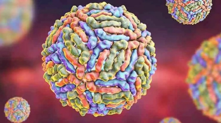 Virus del Nilo Occidental