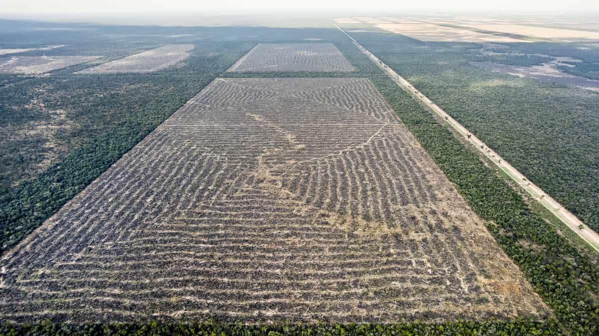 Foto: Matías Garay – Greenpeace