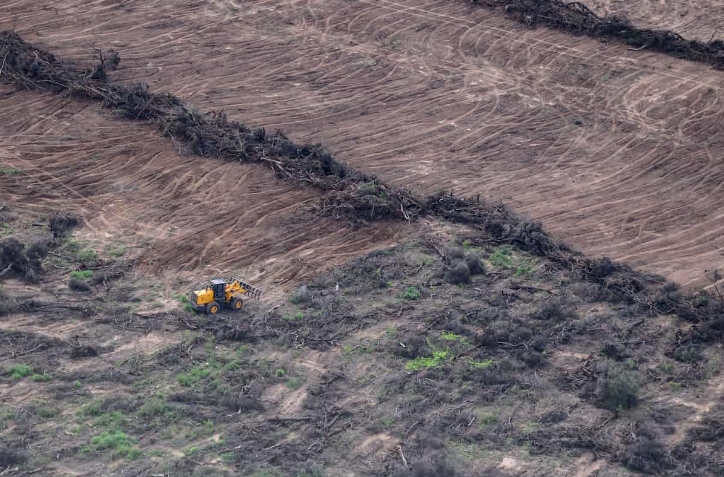 Foto: Greenpeace