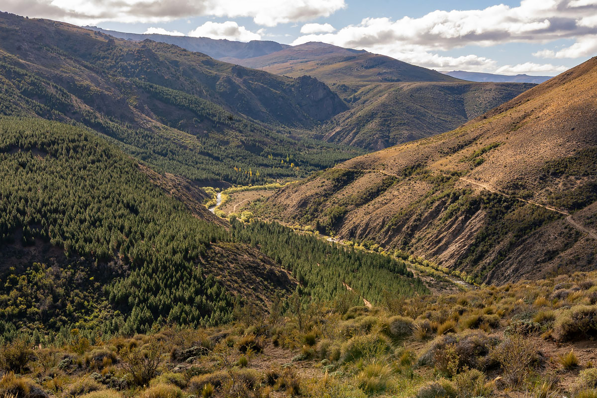Foto de portada: Nacientes del Río Chubut. Roxana Sposaro