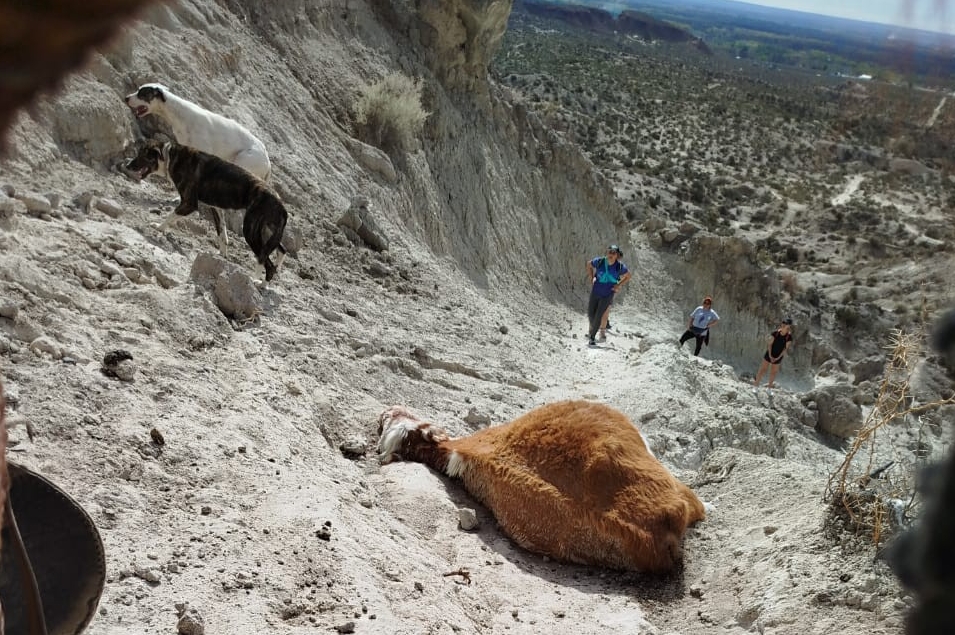 Las consecuencias de las actividades indiscriminadas en la zona donde transitan las vacas. Foto de archivo aportada por la comunidad.