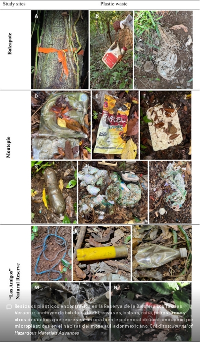 Créditos: Journal of Hazardous Materials Advances
