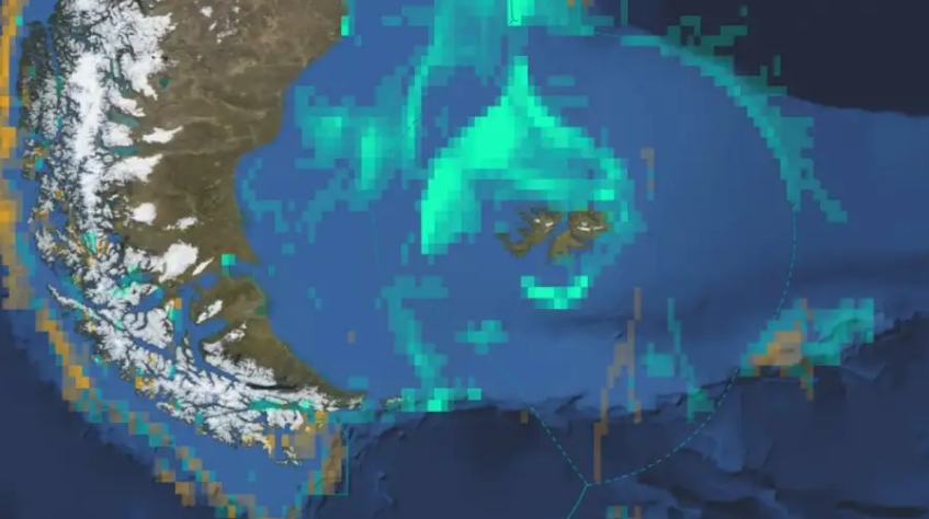 Las embarcaciones pesqueras con licencias ilegales operan mayoritariamente en las aguas circundantes al norte de las Islas Malvinas, dentro de la zona económica exclusiva argentina. Foto: Captura de pantalla, Global Fishing Watch.