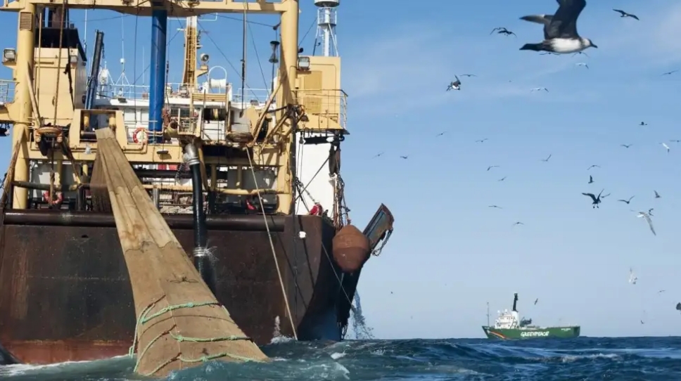 DAÑO AMBIENTAL: No es sólo una pérdida económica, sino que amenaza con el agotamiento de estos recursos. | GZA: Greenpeace / Prefectura Naval / Cedoc Perfil