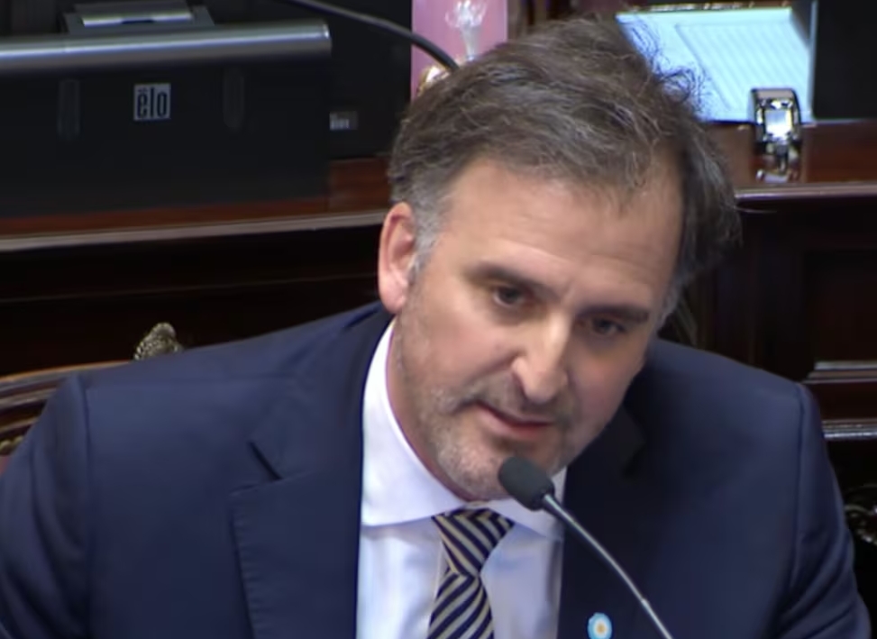 "Represento al sector privado" Joaquín Benegas Lynch negó un conflicto de interés y atribuyó a "la izquierda" la caída del capítulo sobre la Ley de Tierras. Capturas de Video
