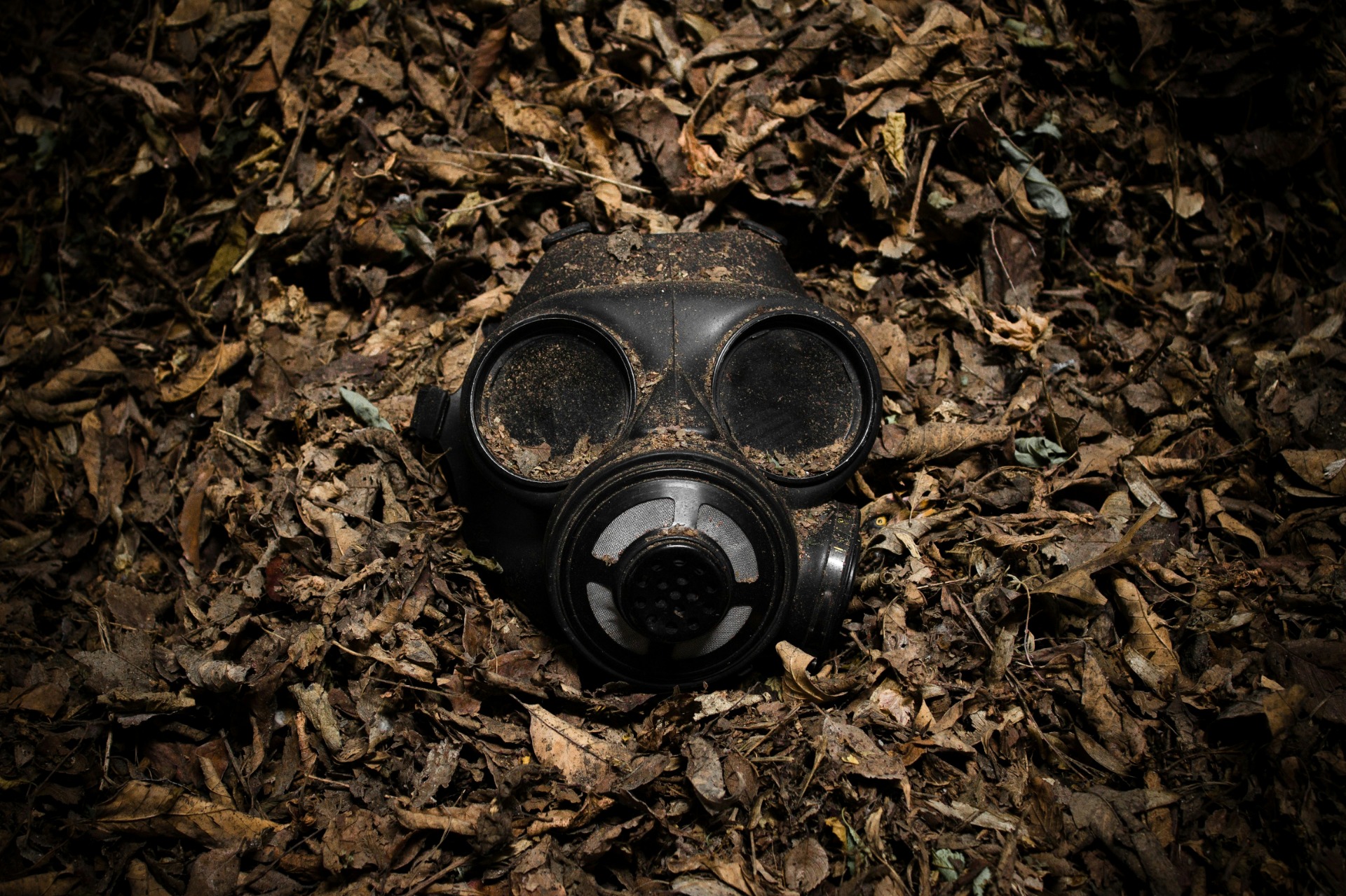 Scott Rodgerson - Unsplash