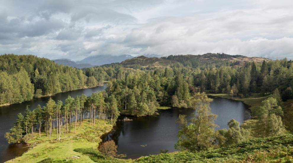 Tarn Hows, distrito de los Lagos, Reino Unido Legion-Media