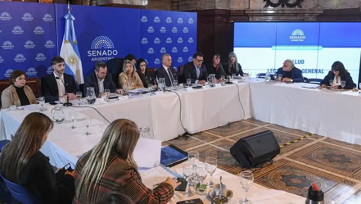 Foto de archivo: reunión de la comisión de Salud y Legislación General sobre el proyecto de reforma de la ley de Salud Mental (Mayo 2026)
