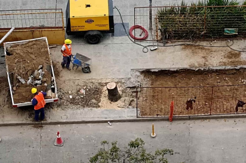 Foto: Basta de Mutilar Nuestros Árboles