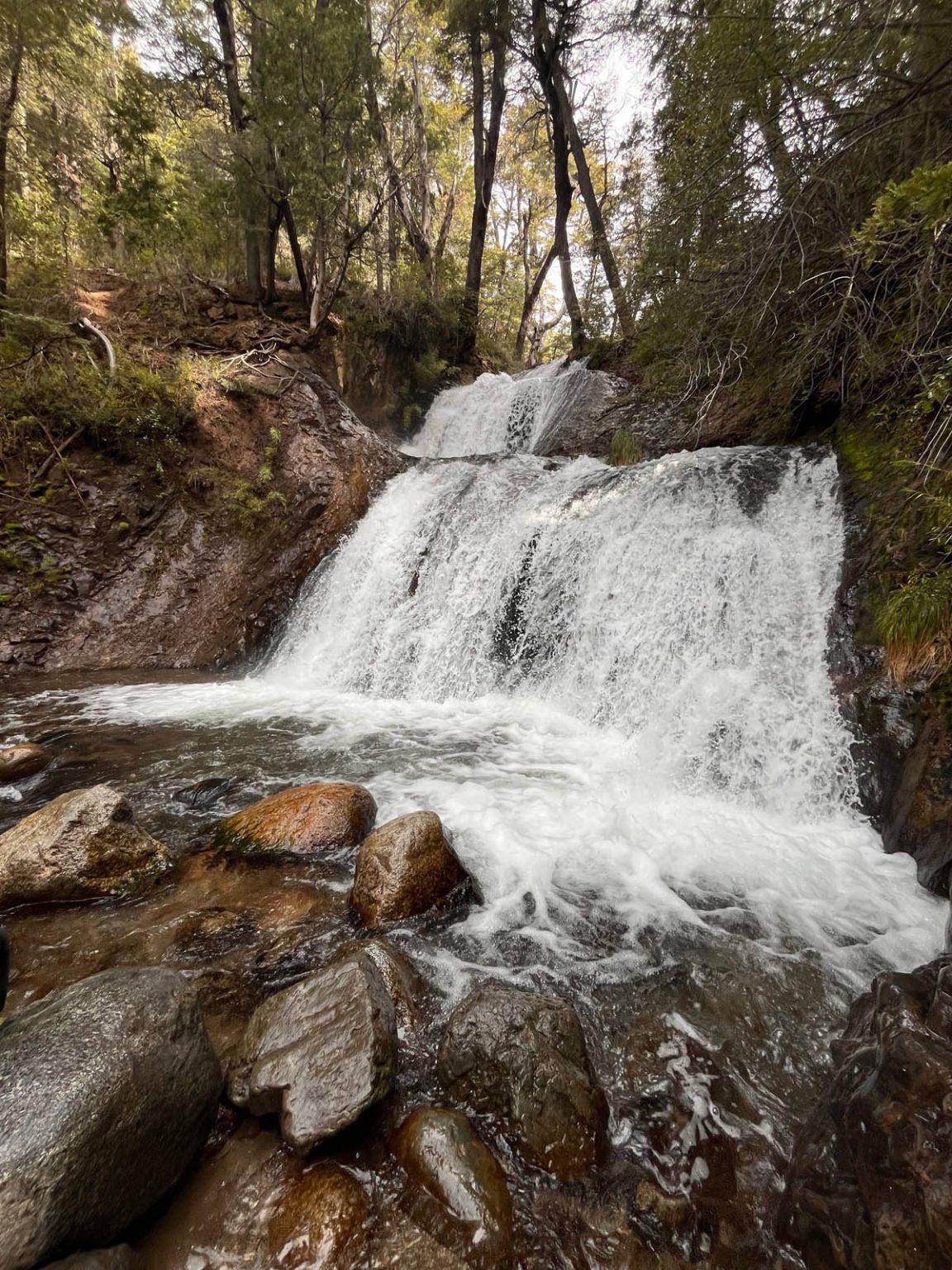 Cascada de los Duendes, en los senderos del lago Gutiérrez, Parque Nacional Nahuel Huapi. Foto: Indymedia Argentina