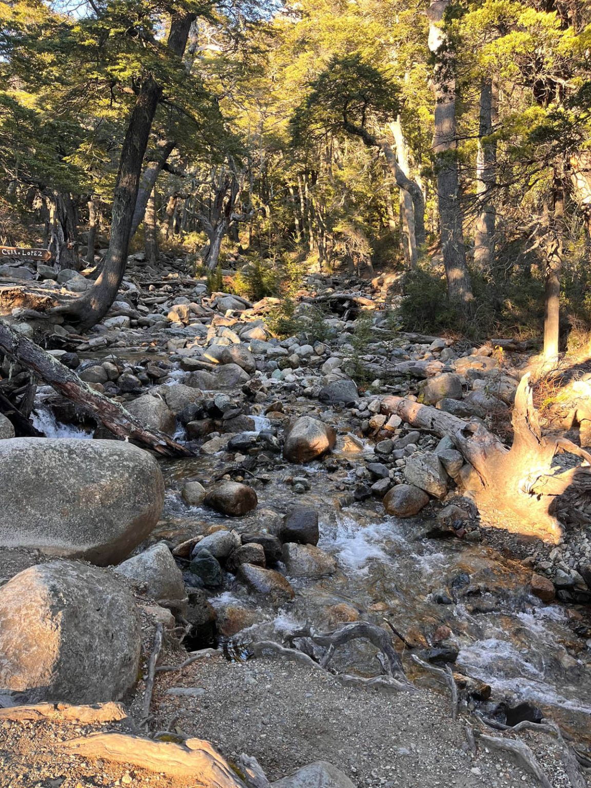 Parque Nacional Nahuel Huapi. Foto: Indymedia Argentina