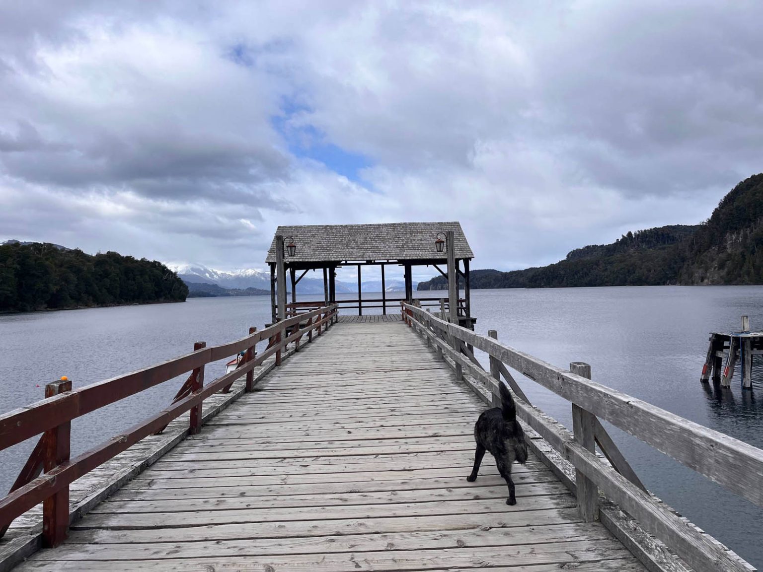 Parque Nacional Nahuel Huapi. Foto: Indymedia Argentina