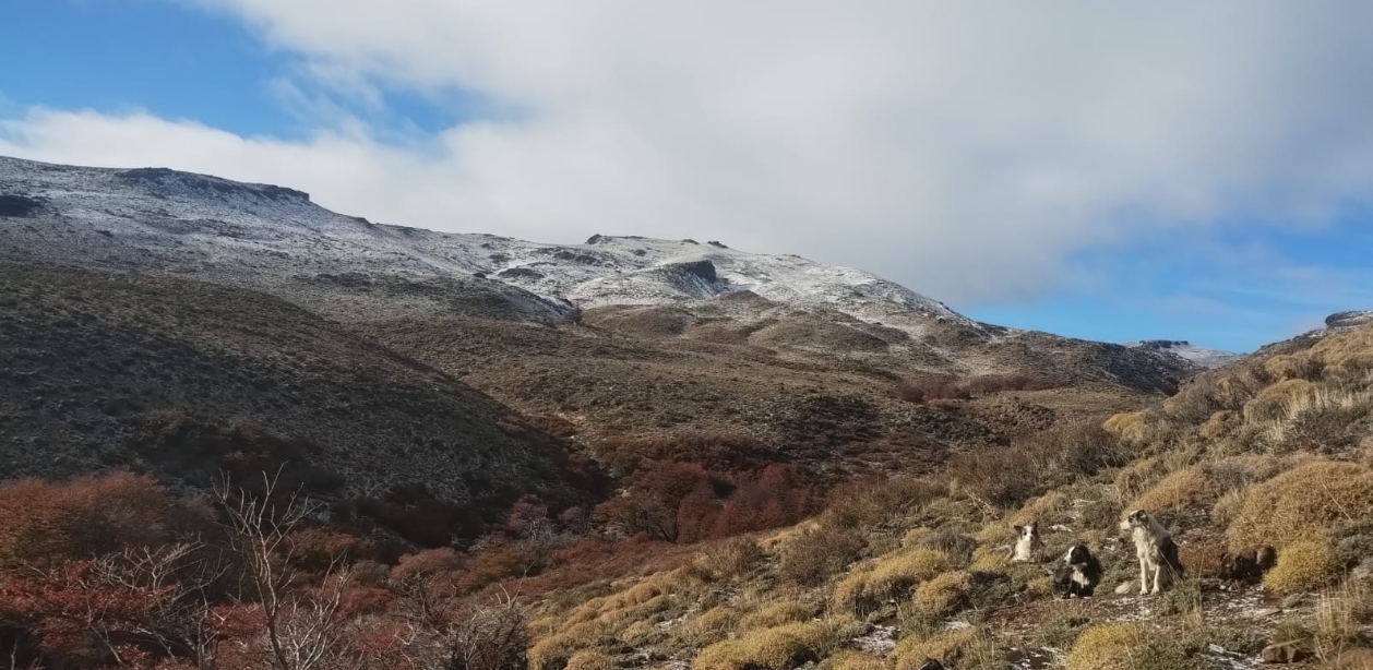 Veranada del territorio comunitario. Gentileza Lof Che Cañumil