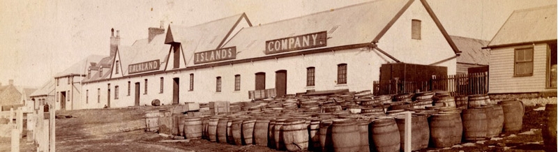 Fotos: www.the-falkland-islands-co.com