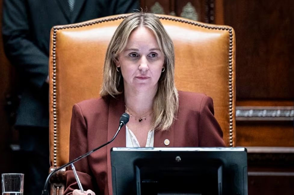 Clara Muzzio dijo que las jugueterías cierran porque no hay chicos y buscó desligar a Milei de la crisis. Prensa Legislatura