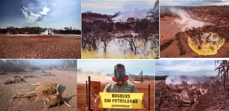 Contaminación de pozo petrolero Greenpeace denominó a la zona como "El Chernobyl Salteño" MARTIN KATZ